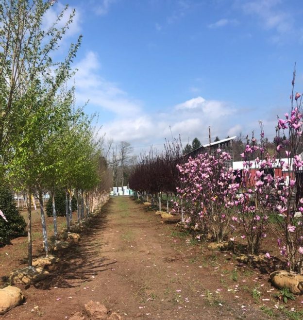 The Farm and Garden Station