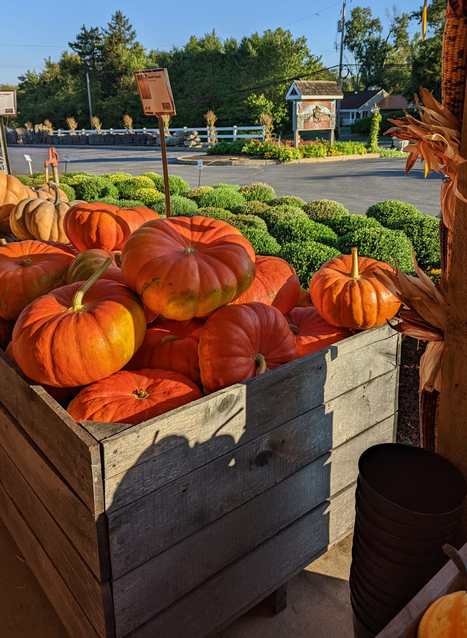 The Farm and Garden Station Beautifying backyards, one at a time!