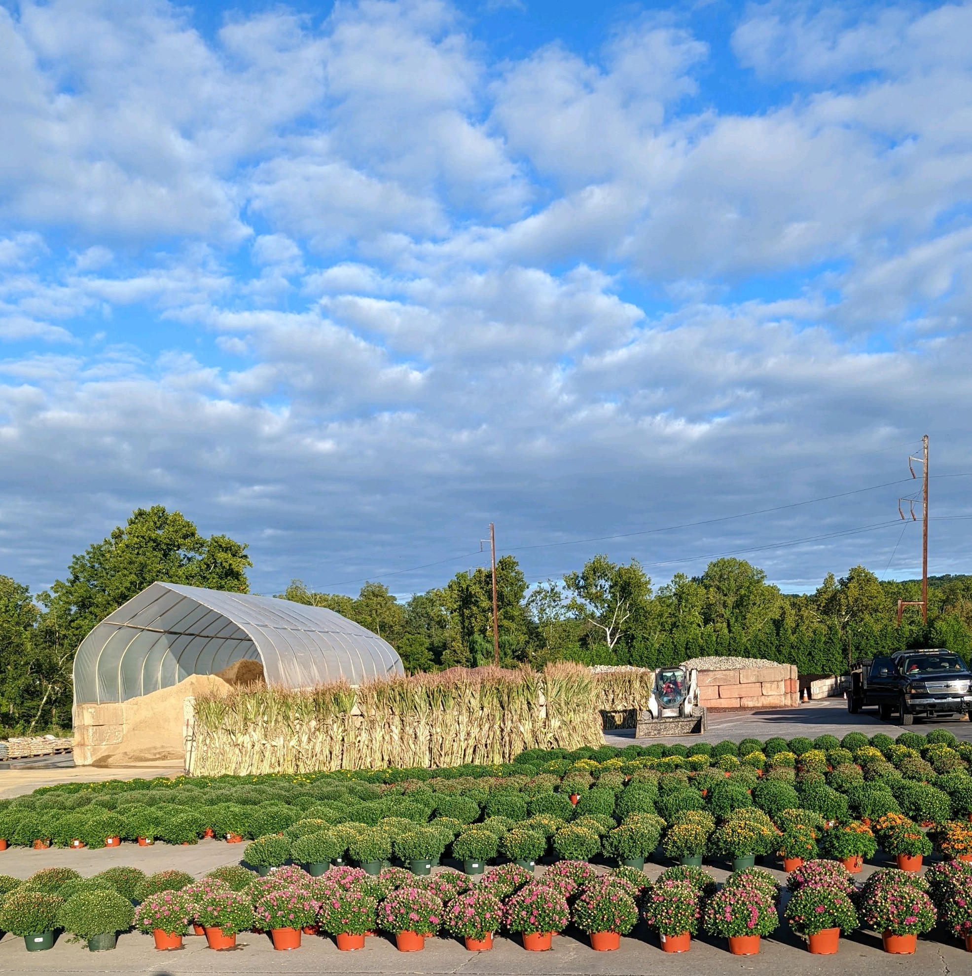 The Farm and Garden Station Beautifying backyards, one at a time!
