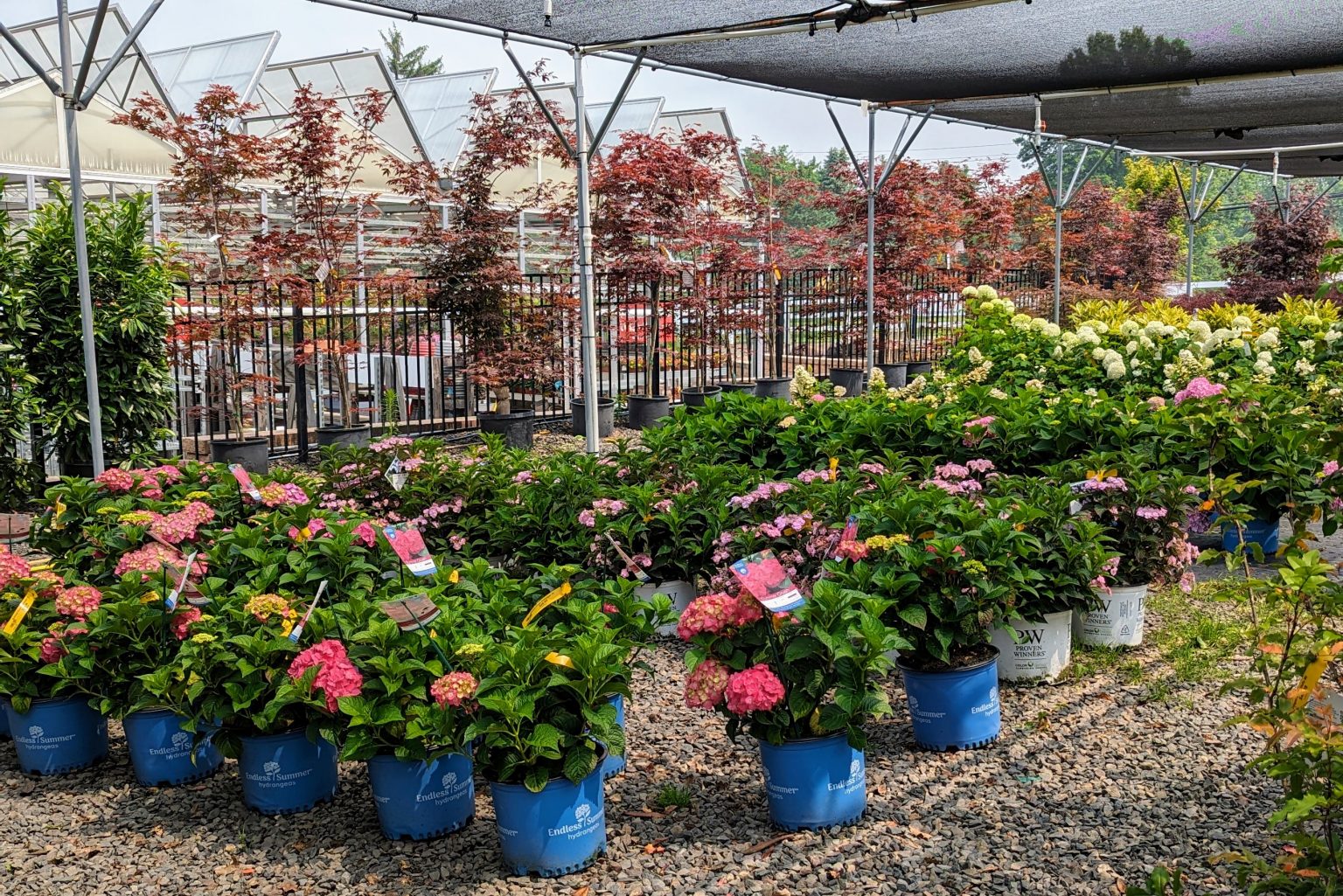 The Farm and Garden Station