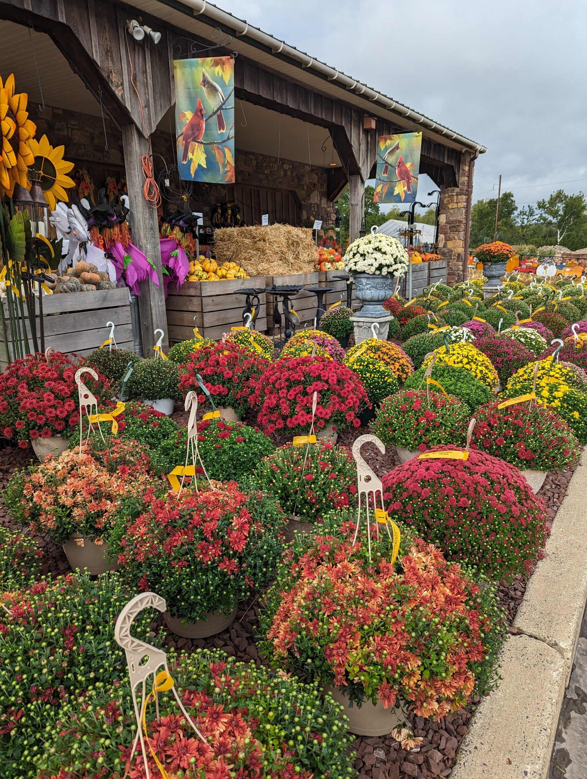 The Farm and Garden Station